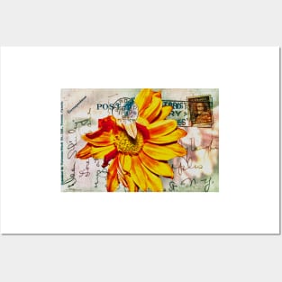 Gerbera Daisy on Vintage Postcard Posters and Art